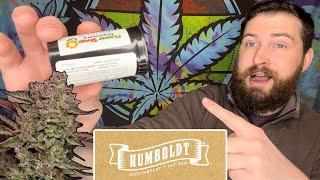 GAZZURPLE Strain by HUMBOLDT SEED COMPANY Review