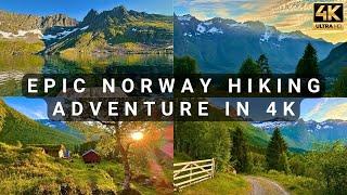 4K GoPro Hiking | Norway | Scenic Relaxation | Virtual Hike | Nature Walk ASMR | Mountain ambience