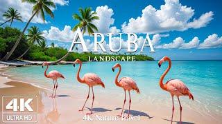 Aruba 4K UHD - Exploring Pristine Coastlines: Discovering the Beauty of the Caribbean