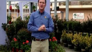 Why you should shop at Watters Garden Center