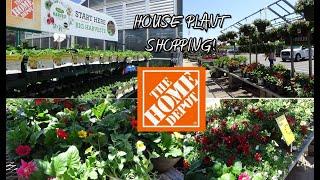 THE HOME DEPOT INDOOR AND OUTDOOR  PLANTS *BIG BOX STORE SHOPPING