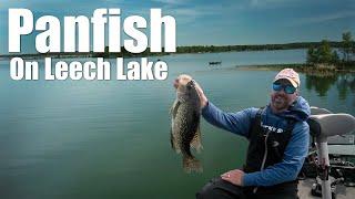 MIND-BLOWING Spring Panfish Secrets from a Leech Lake Expert!