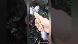 Cuțit , supraviețuire primitiva . Paun Ionut - Ionut Aventura în natura #abonare #like #mountain