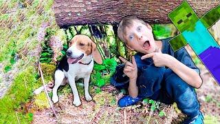 Building Minecraft ZOMBIE Dog House In The Woods