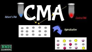 Chromosomal Microarray Test | Chromosomal Microarray Analysis | CMA Test |