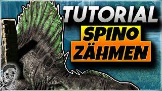  Ark Spinosaurus Zähmen [Tutorial] - Ark Survival Evolved