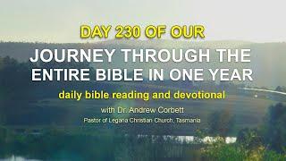 Read The Bible In A Year, Day 230