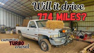 Will an ABANDONED Dodge RUN & DRIVE 774 miles to Wyoming after sitting YEARS?