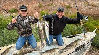 Lake Mead Is Drying up! The Fish Are Starving! {Catch Clean Cook} with Sin City Outdoors