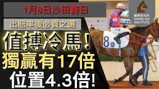 【賽馬貼士】1月8日 值搏冷馬！｜獨贏有17倍 位置都有4.3倍！值得一搏！