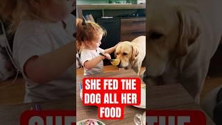 What Happens When You Feed Your DOG ALL Your Food?