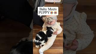  This Puppy + Baby Will Melt Your Heart ️