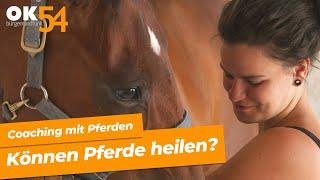 Können Pferde heilen? | Pferdegestütztes Coaching mit Christine Neuner