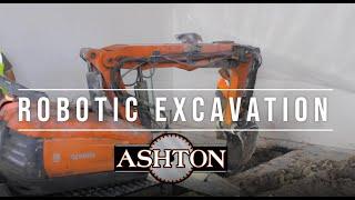 Robotic Excavation