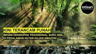 Kini Terancam Punah, Begini Kehidupan Tradisional Suku Awa, Suku Pedalaman Hutan Hujan Amazon