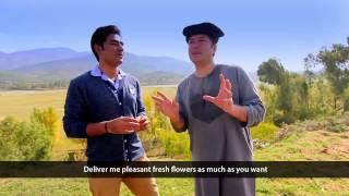 Pashto New HD Song Ka Lare Bajawar Ta 2015 By Bakhtiar Khattak