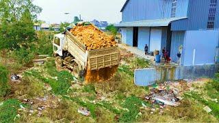 Nicely Job New Project!Perfect Fast Activity By Bulldozer D41P  Pushing Soil,Dump Truck Filling land