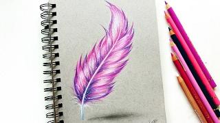 Feather drawing with colored pencil! | Leontine van vliet