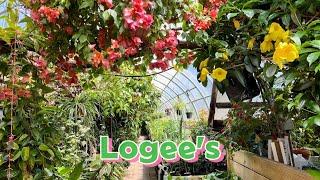 Tropical paradise at Logee's Plants for Home & Garden in Danielson CT