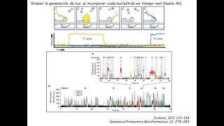 Método de secuenciación PACBIO – SMRT sequencing