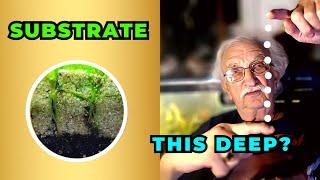 The Truth About Natural Deep Substrate Dirted Aquariums