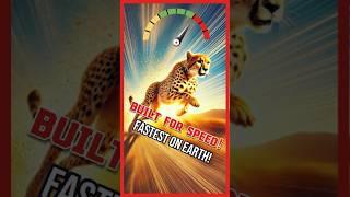 The Fastest Animals on Earth! #animals #speed #fast #wildlife