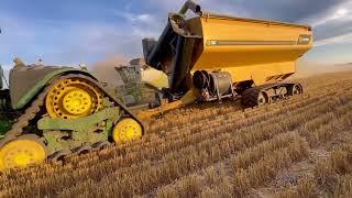 Wheat harvest 2022 darling downs QLD Australia