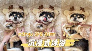 【ASMR】圣诞小狗 | 曼玉Manyu氛围感清洁SPA