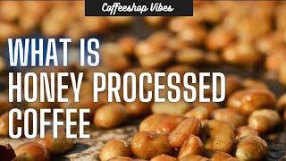 What is Honey Process Coffee?