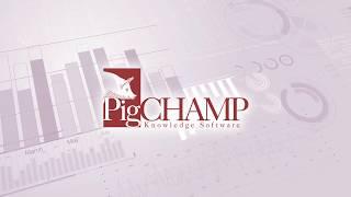 PigCHAMP - Automated Backups