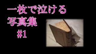 【感動する泣ける画像】 ＃１ 一枚で泣ける写真集　世界の24枚