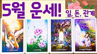 [타로]  5월 운세 ! 일, 돈, 관계운!🪽