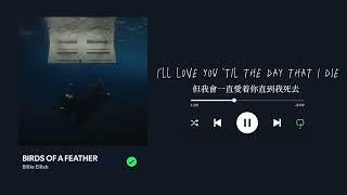 Billie Eilish (怪奇比莉）- BIRDS OF A FEATHER Lyric 物以類聚 （中英歌詞）