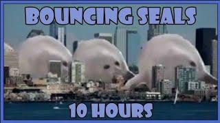bouncing Seal [10 hour edition]