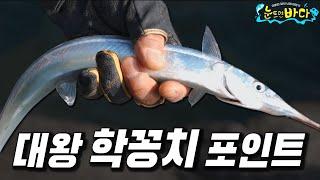 [FSTV 눈뜨면바다 9화] 겨울 남해 대왕 학꽁치 도보 낚시 포인트!