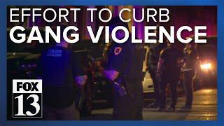 Utah State Legislature taking action to stop gang violence