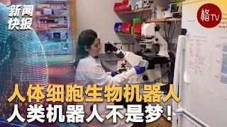 【逆天了！】人类机器人不是梦！科学家利用人体细胞制造生物机器人