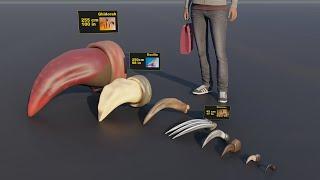 Claw size Comparison, Animals & Monsters