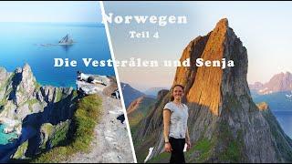 NORWEGEN Roadtrip | FLUCHT vor den Touristen | Vesteralen und Senja | Geheimtipps + Highlights