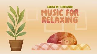 Music for Relaxing  CHOPIN, MOZART, SCHUBERT   Baby Classical Music to go to sleep