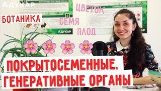 Покрытосеменные. Генеративные органы растений. Цветок, семя, плод | Биология ЦТ, ЕГЭ