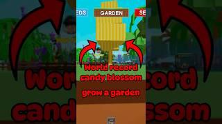 WORLD RECORD CANDY BLOSSOM IN GROW A GARDEN  #growagarden