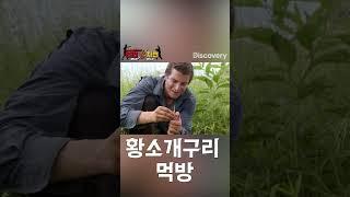 생태계 교란종, 거대 황소개구리 먹방