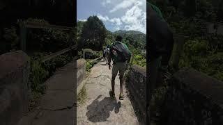 Real Jamaican Greeting #jamaica #travel #tourism #hiking #river #health #freshair #shorts