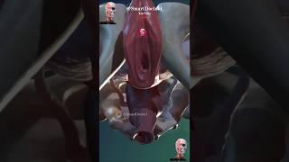 Female pelvic gates |  The female system  ️