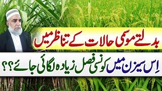 Which crops are most suitable during current season || Crop Reformer
