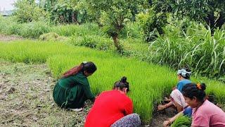 आज हम लोग गए फिर से बेनी के ससुराल #Ruchi Dhami vlog#morning routine