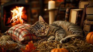 Cozy Cottage: Purring Cat and Fireplace ASMR for Perfect Sleep, Ultimate Relaxation