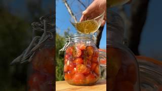 ЭТИ ПОМИДОРЫ СЪЕДАЮТСЯ БЫСТРЕЕ ШАШЛЫКА #рецепт #рекомендации #рецепты #рек