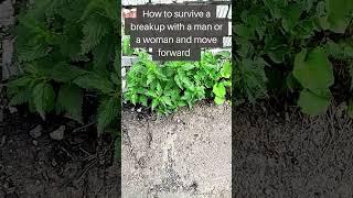 How to survive a breakup with a man or a woman and move forward?